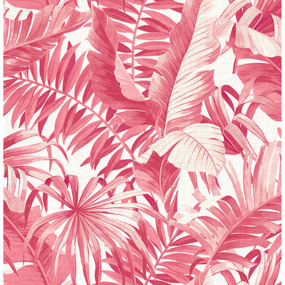 product image of Alfresco Tropical Palm Wallpaper in Pink from the Pacifica Collection by Brewster Home Fashions 56