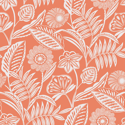 product image of Alma Tropical Floral Wallpaper in Coral from the Pacifica Collection by Brewster Home Fashions 510