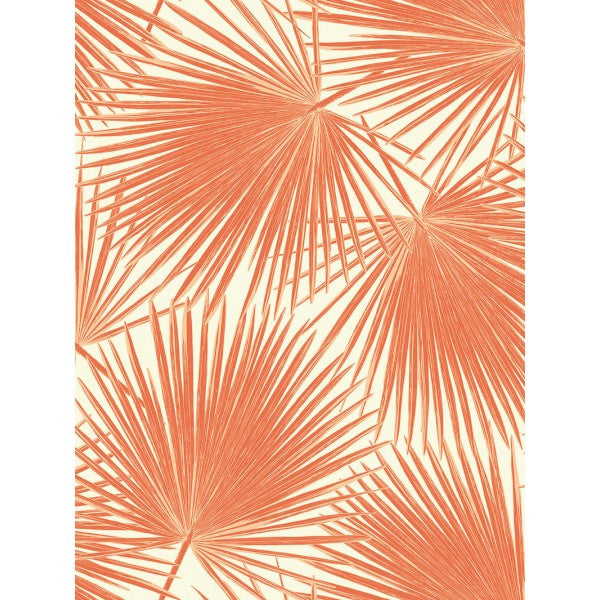 media image for Aruba Wallpaper in Deep Orange from the Tortuga Collection by Seabrook Wallcoverings 292