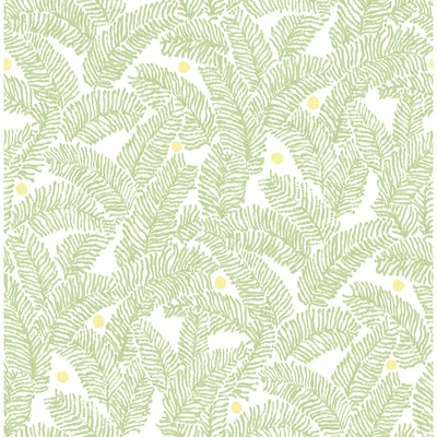 product image for Athina Fern Wallpaper in Sage from the Pacifica Collection by Brewster Home Fashions 55