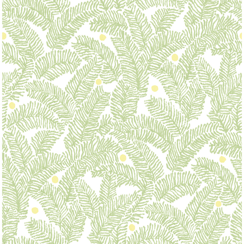 media image for Athina Fern Wallpaper in Sage from the Pacifica Collection by Brewster Home Fashions 251