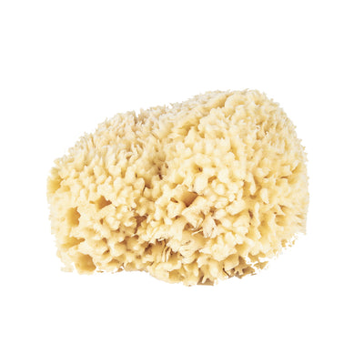product image of wool bath sponges 1 579