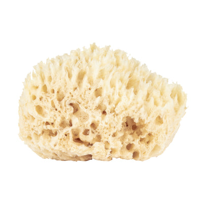 product image for wool bath sponges 2 99
