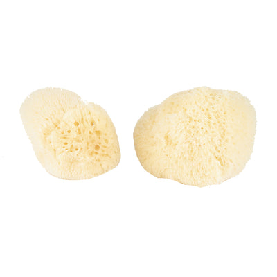 product image of silk sponge set 1 597
