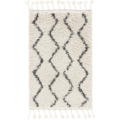 product image for Berber Shag BBE-2303 Rug in Charcoal & Beige by Surya 67