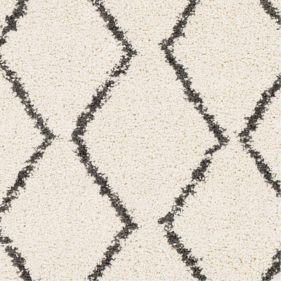 product image for Berber Shag BBE-2303 Rug in Charcoal & Beige by Surya 4