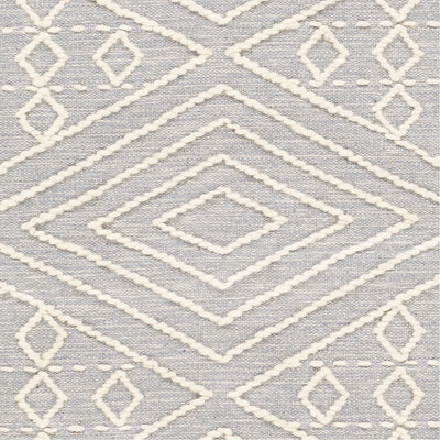 product image for Bedouin BDO-2301 Hand Woven Rug in Medium Gray & Cream by Surya 61