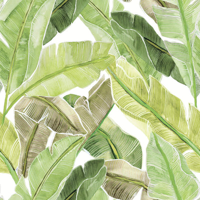 product image of Bahama Palm Peel & Stick Wallpaper in Key Lime 553