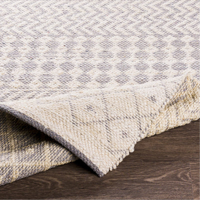 product image for Bryant BRA-2401 Hand Woven Rug in Beige & Medium Grey by Surya 20