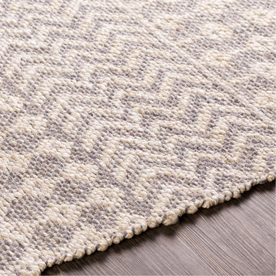product image for Bryant BRA-2401 Hand Woven Rug in Beige & Medium Grey by Surya 90