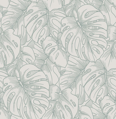 product image of Balboa Botanical Wallpaper in Olive from the Scott Living Collection by Brewster Home Fashions 583
