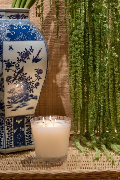 product image for bamboo 3 wick candle design by nest 3 72