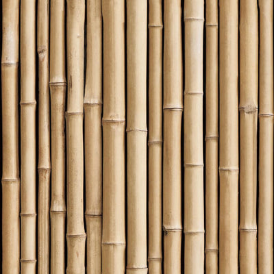 product image of bamboo peel stick wallpaper in brown by roommates for york wallcoverings 1 537