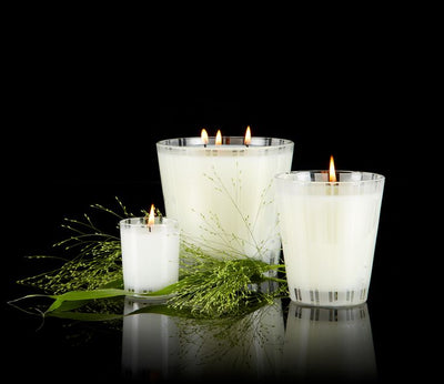 product image for bamboo 3 wick candle design by nest 7 53