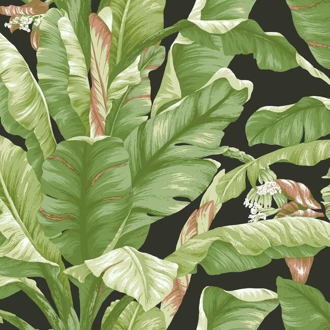 media image for Banana Leaf Peel & Stick Wallpaper in Green and Black by York Wallcoverings 287