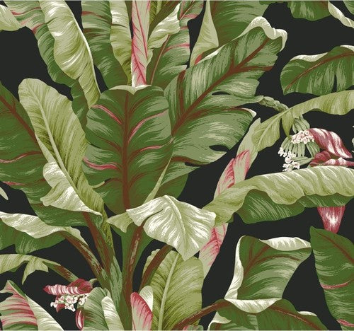 media image for Banana Leaf Wallpaper in Green and Black by York Wallcoverings 266