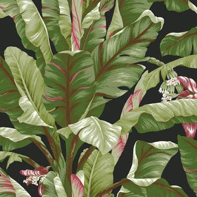 product image of sample banana leaf wallpaper in green and black by york wallcoverings 1 580