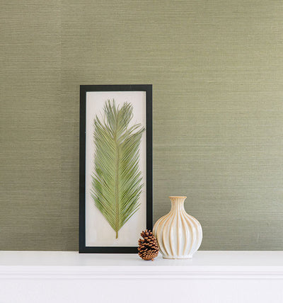 product image for Barbora Light Green Grasscloth Wallpaper from the Jade Collection by Brewster Home Fashions 74