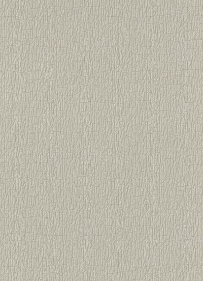 product image of Bark Wallpaper in Taupe design by BD Wall 546