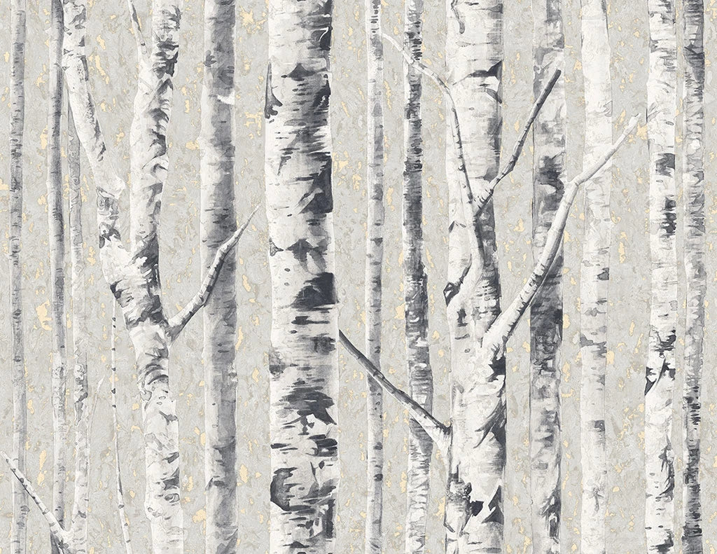 Shop Sample Birch Wallpaper in Frost from the Sanctuary Collection