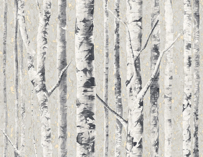 media image for Birch Wallpaper in Frost from the Sanctuary Collection by Mayflower Wallpaper 250