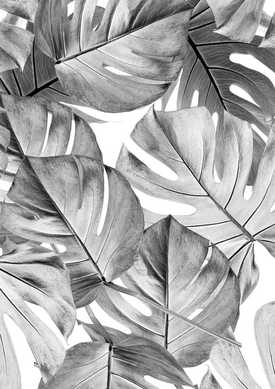 product image for Botanical Wallpaper Monstera Grey by KEK Amsterdam 32