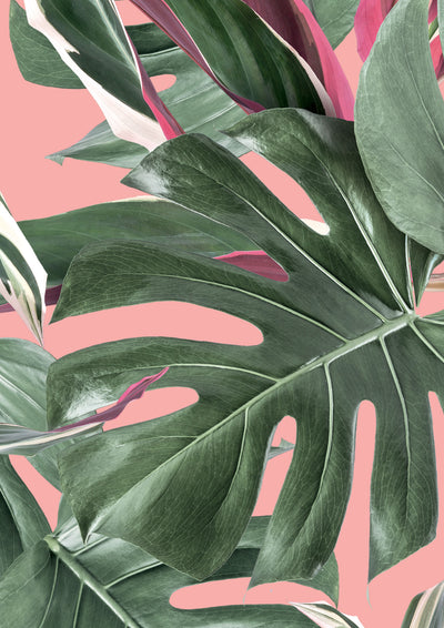 product image for Botanical Wallpaper Monstera Pink by KEK Amsterdam 80
