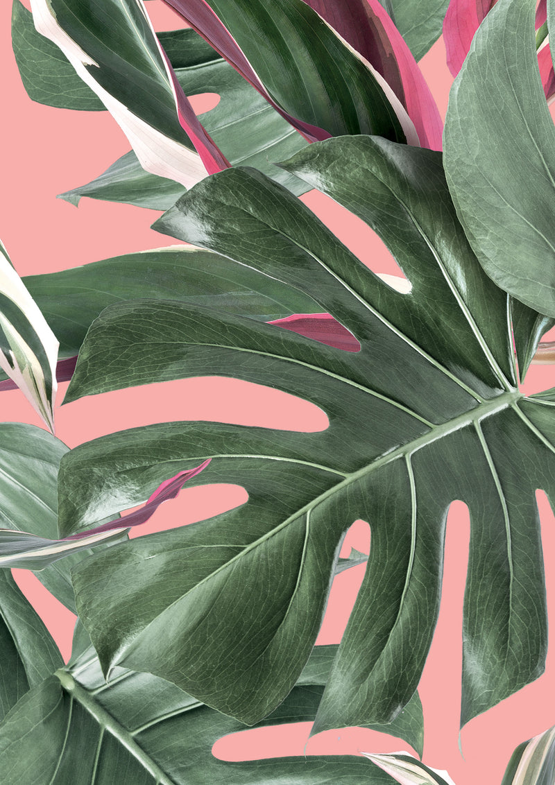 media image for Botanical Wallpaper Monstera Pink by KEK Amsterdam 227