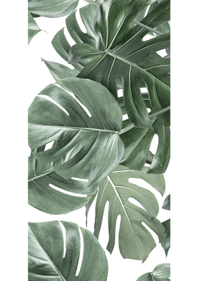 product image for Botanical Wallpaper Monstera White by KEK Amsterdam 87