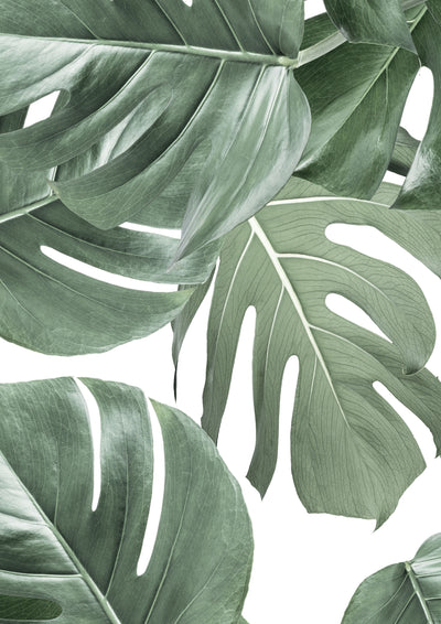 product image for Botanical Wallpaper Monstera White by KEK Amsterdam 91