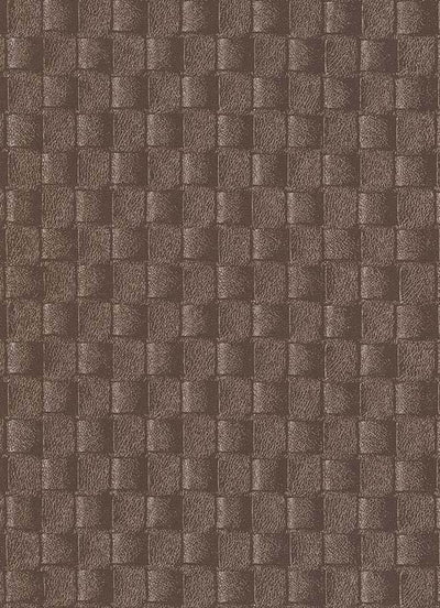 product image of Brighton Graphic Wallpaper in Brown design by BD Wall 527