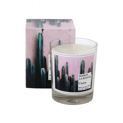 product image for cactus scented candle 2 31