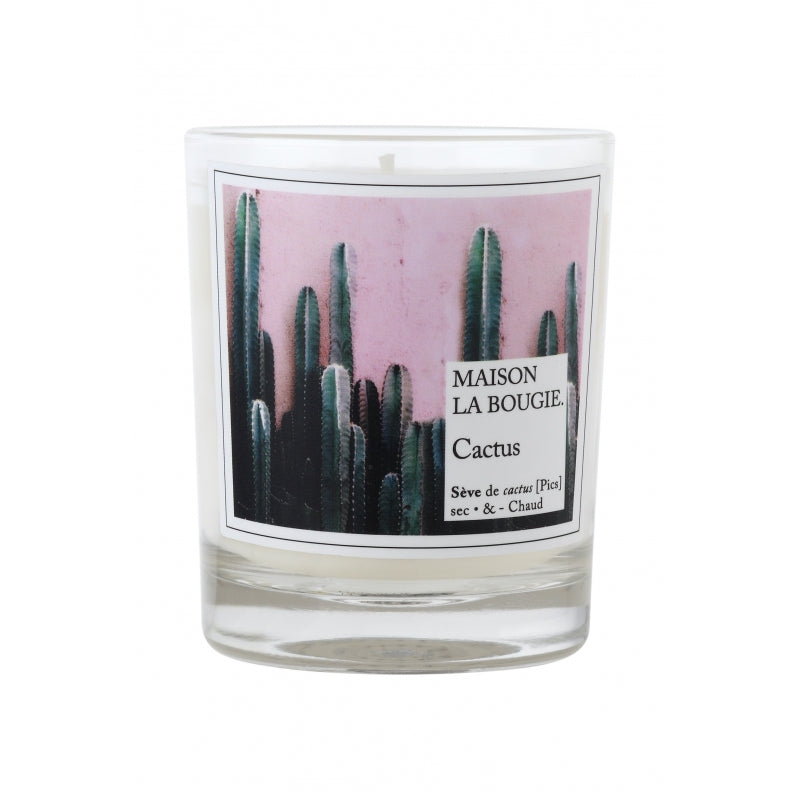 media image for cactus scented candle 1 26
