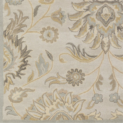 product image for Caesar CAE-1192 Hand Tufted Rug in Light Gray & Khaki by Surya 86