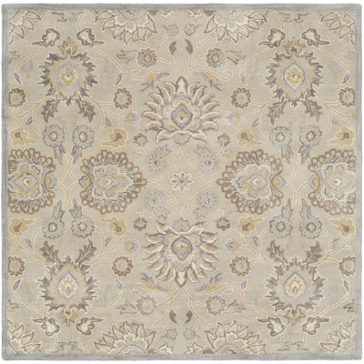product image for Caesar CAE-1192 Hand Tufted Rug in Light Gray & Khaki by Surya 18