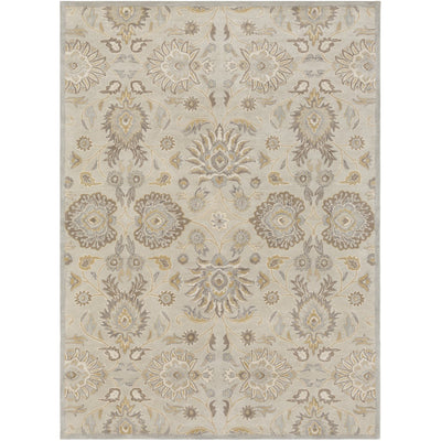 product image of Caesar CAE-1192 Hand Tufted Rug in Light Gray & Khaki by Surya 547
