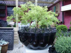 product image for Citadel Planter design by Capital Garden Products 6