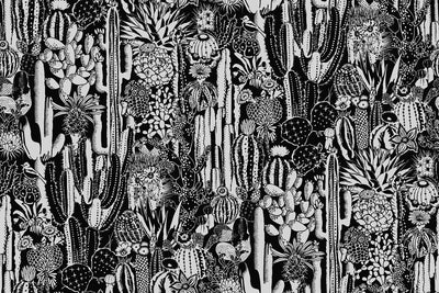 product image for Cactus Spirit Wallpaper in Contrast design by Aimee Wilder 93