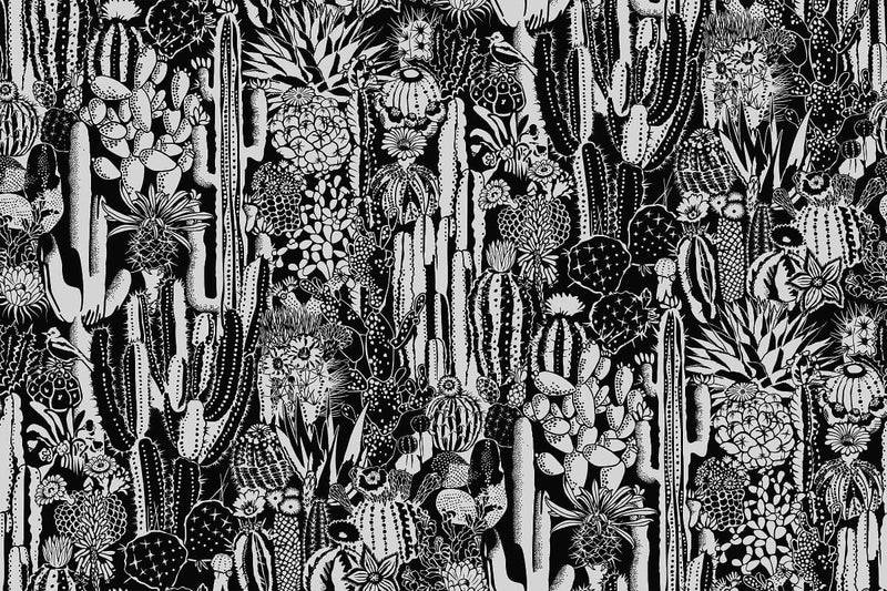 media image for Cactus Spirit Wallpaper in Contrast design by Aimee Wilder 20