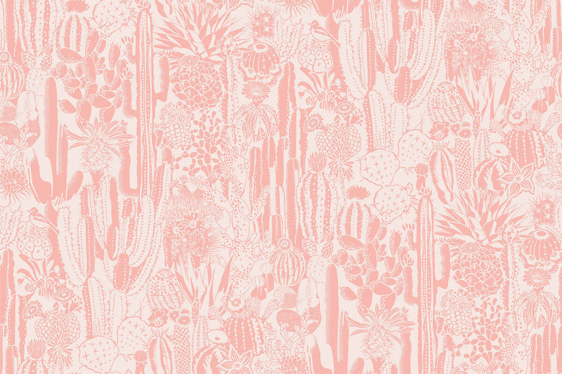 media image for Cactus Spirit Wallpaper in Splendid design by Aimee Wilder 218