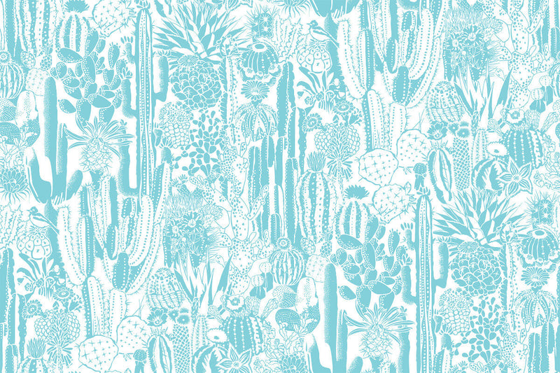 media image for Cactus Spirit Wallpaper in Tequila design by Aimee Wilder 26