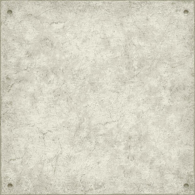 product image of Cement Peel & Stick Wallpaper in Grey by RoomMates for York Wallcoverings 570