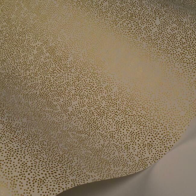 media image for Champagne Dots Wallpaper in Gold and White from the Rifle Paper Co. Collection by York Wallcoverings 220