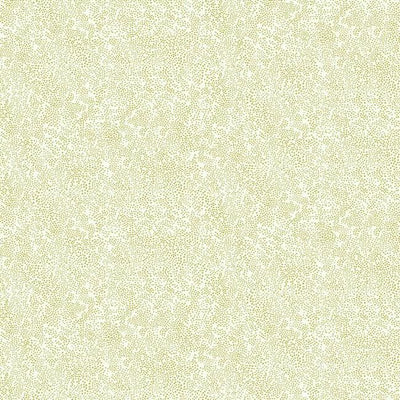 product image for Champagne Dots Wallpaper in Gold and White from the Rifle Paper Co. Collection by York Wallcoverings 70