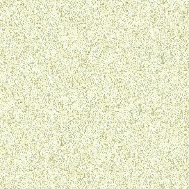 media image for Champagne Dots Wallpaper in Gold and White from the Rifle Paper Co. Collection by York Wallcoverings 26