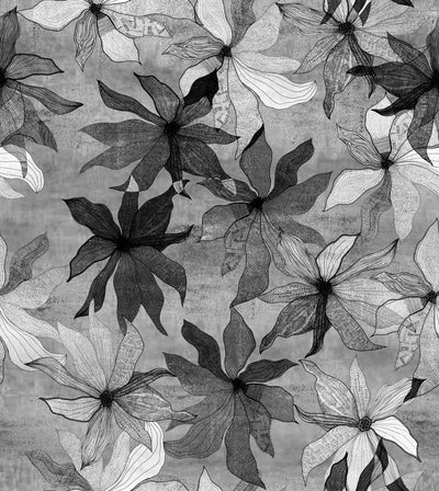 product image for Clematis Wallpaper in Black and White 22