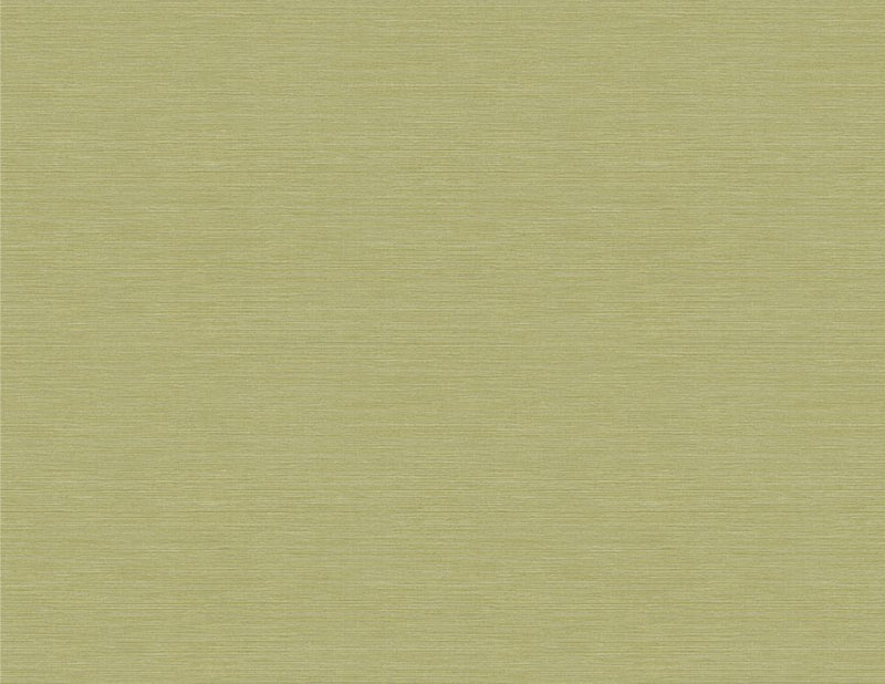 media image for Coastal Hemp Wallpaper in Lime Moss from the Texture Gallery Collection by Seabrook Wallcoverings 230