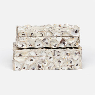 product image for Cove Natural Shell Box, Set of 2 85