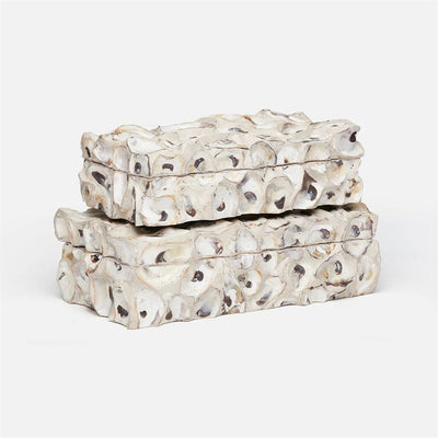 product image of Cove Natural Shell Box, Set of 2 577