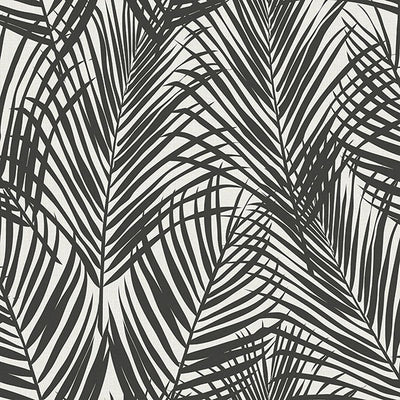 product image of Fifi Black Palm Frond Wallpaper from Design Department by Brewster 593